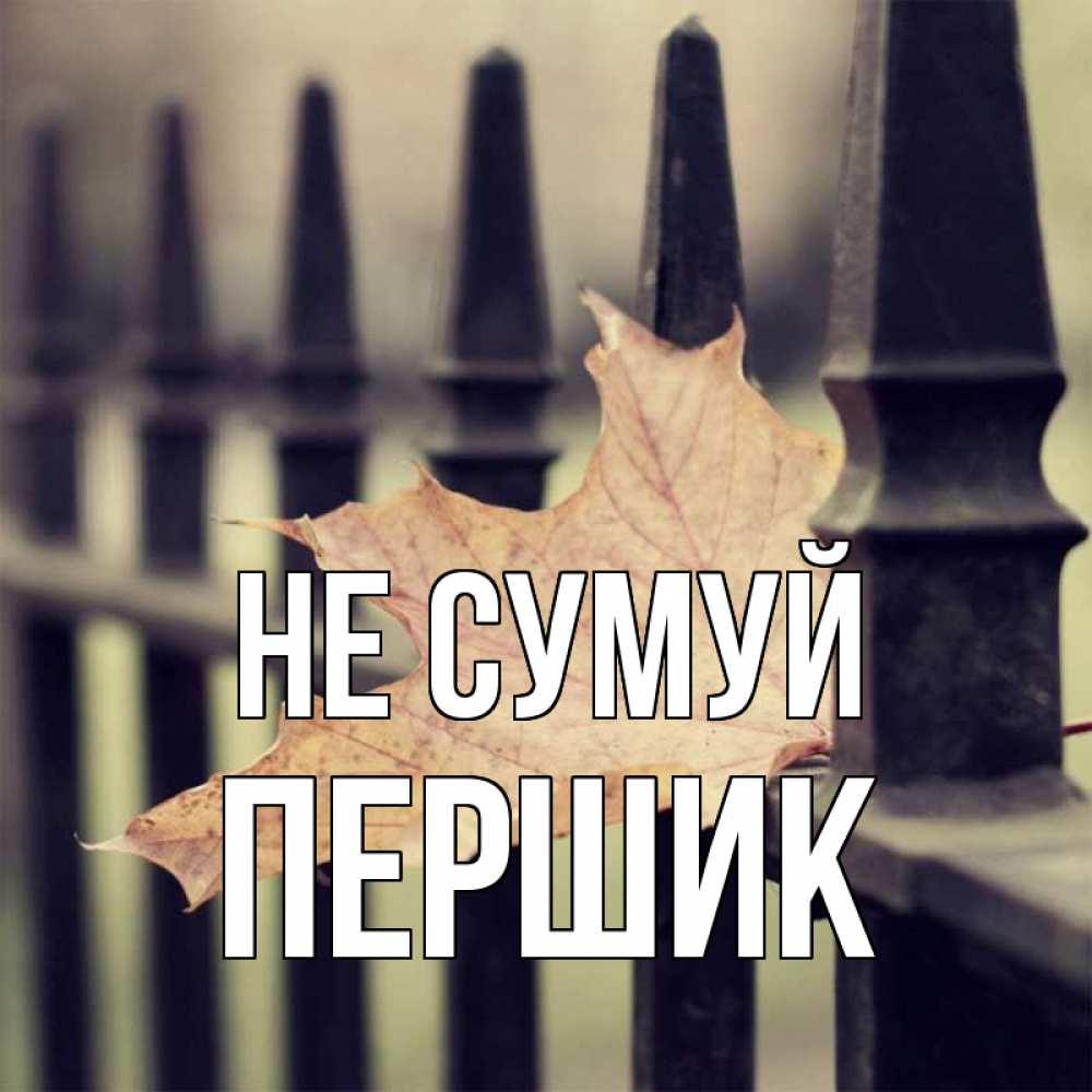 Открытка на каждый день з підписом, Першик Не сумуй лист клена Прикольна листівка з побажанням онлайн скачати безкоштовно 