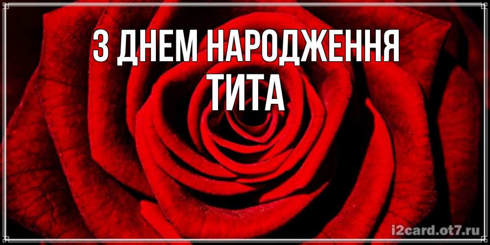 Открытка на каждый день з підписом, Тита З Днем народження алая роза Прикольна листівка з побажанням онлайн скачати безкоштовно 