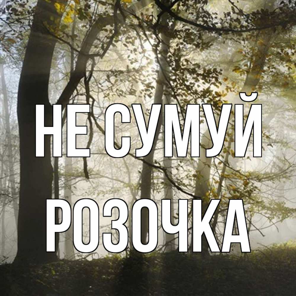 Открытка на каждый день з підписом, Розочка Не сумуй лес и свет Прикольна листівка з побажанням онлайн скачати безкоштовно 
