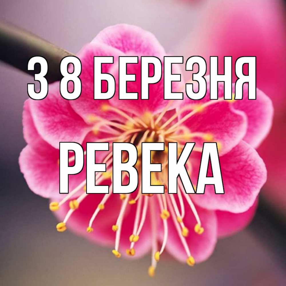 Открытка на каждый день з підписом, Ревека З 8 БЕРЕЗНЯ цветы Прикольна листівка з побажанням онлайн скачати безкоштовно 