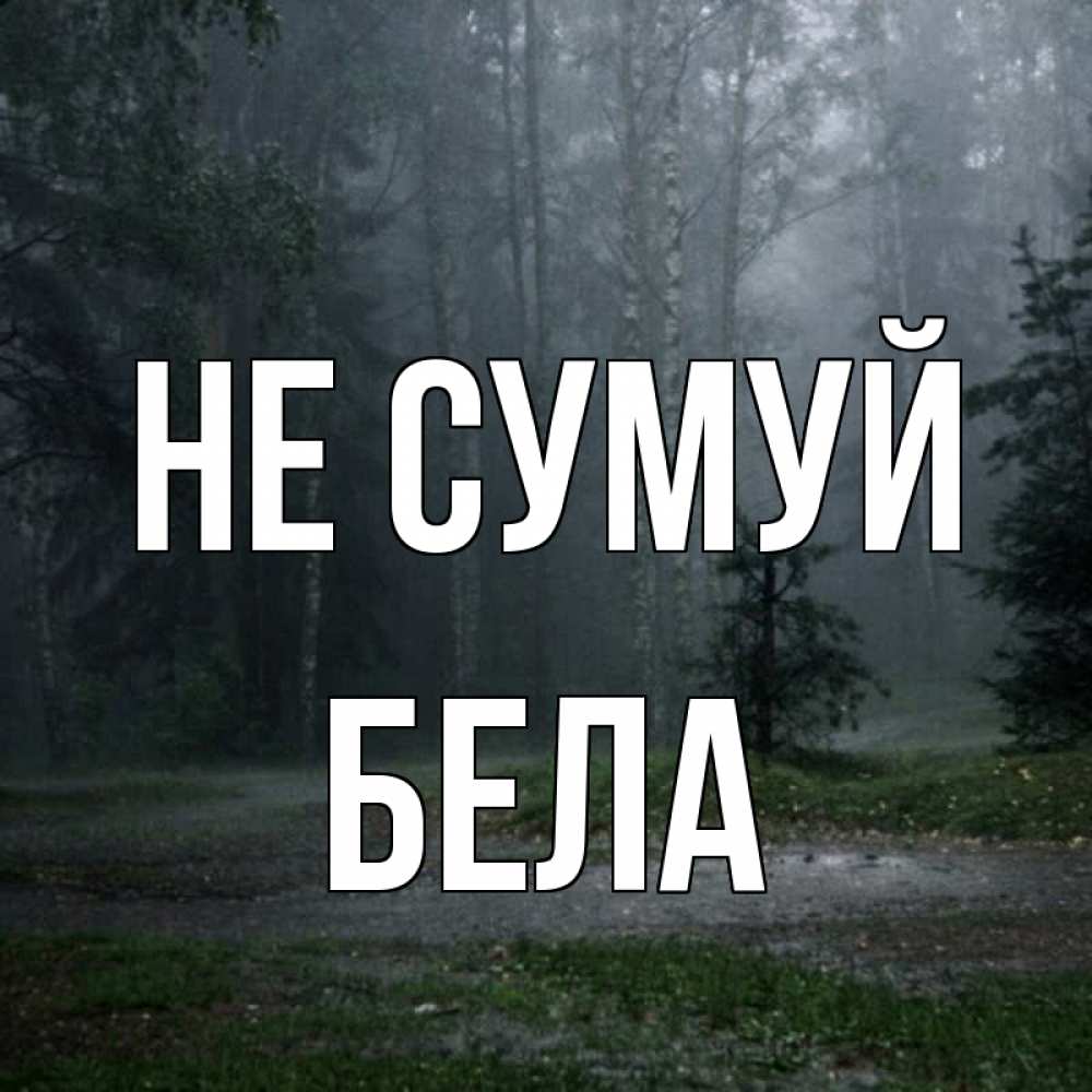 Открытка на каждый день з підписом, Бела Не сумуй осень Прикольна листівка з побажанням онлайн скачати безкоштовно 
