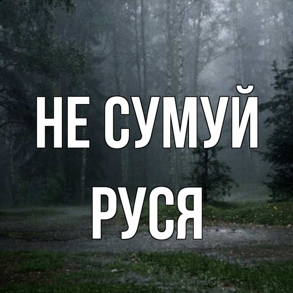 Открытка на каждый день з підписом, Руся Не сумуй осень Прикольна листівка з побажанням онлайн скачати безкоштовно 