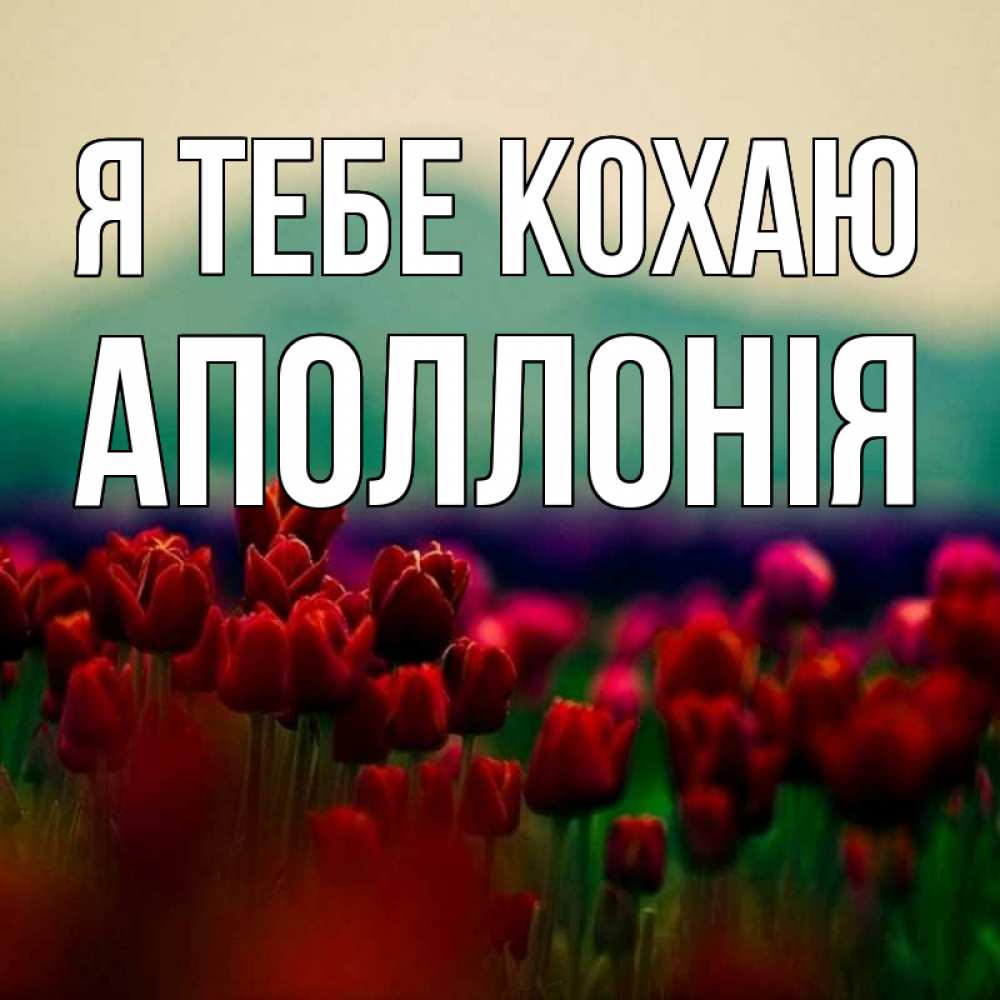 Открытка на каждый день з підписом, Аполлонія Я тебе кохаю тюльпаны 4 Прикольна листівка з побажанням онлайн скачати безкоштовно 