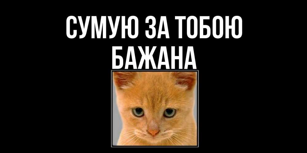 Открытка на каждый день з підписом, Бажана Сумую за тобою открытки рыжий котенок скучает по тебе Прикольна листівка з побажанням онлайн скачати безкоштовно 
