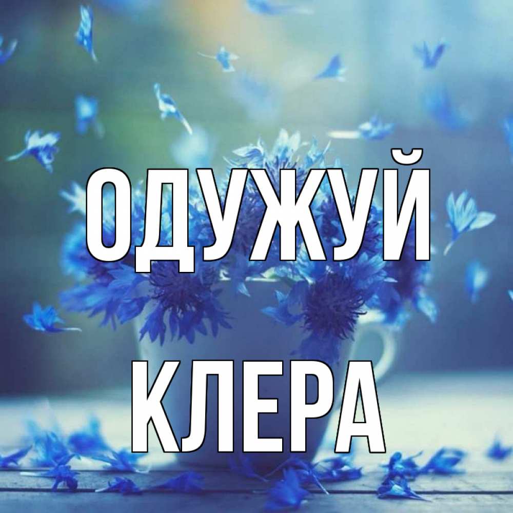 Открытка на каждый день з підписом, Клера Одужуй кружка с зельем и цветами Прикольна листівка з побажанням онлайн скачати безкоштовно 