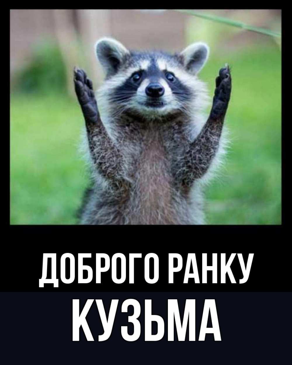 Открытка на каждый день з підписом, Кузьма Доброго ранку хорошее настроение утречком Прикольна листівка з побажанням онлайн скачати безкоштовно 
