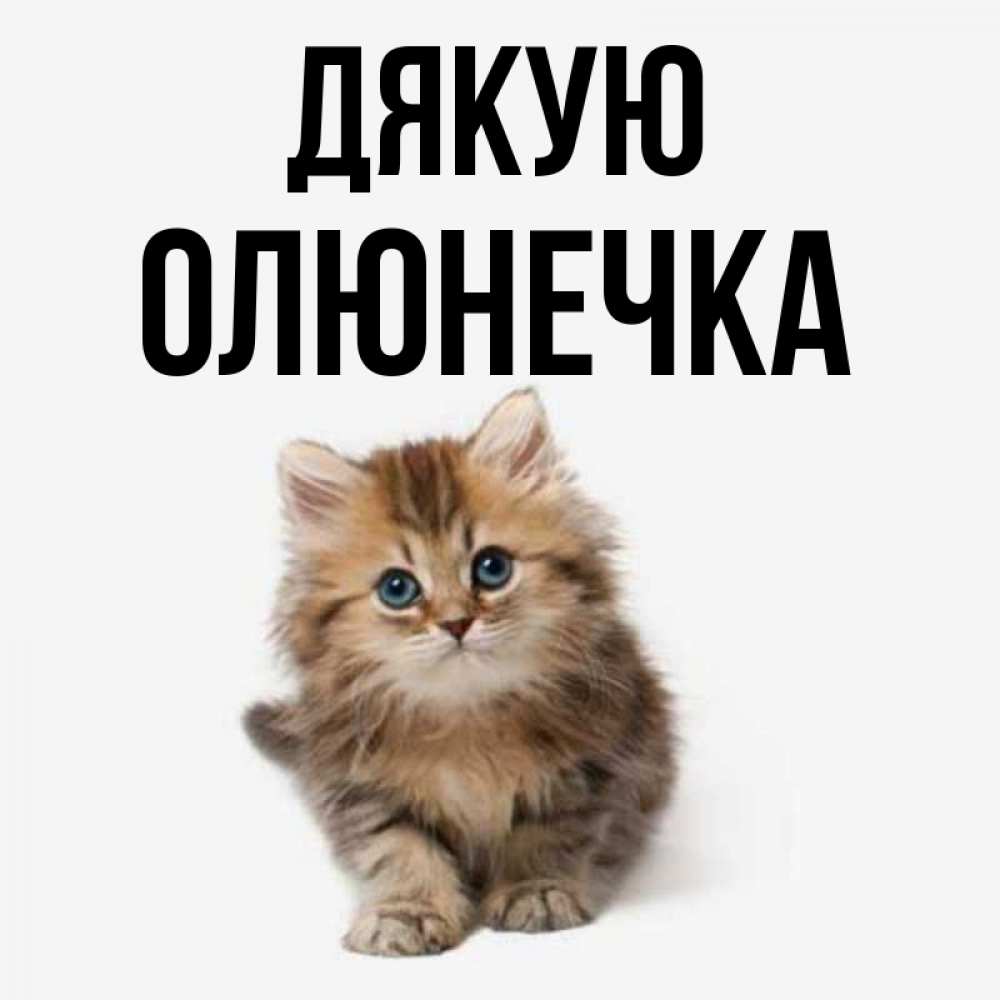 Открытка на каждый день з підписом, Олюнечка Дякую пушистый котик Прикольна листівка з побажанням онлайн скачати безкоштовно 