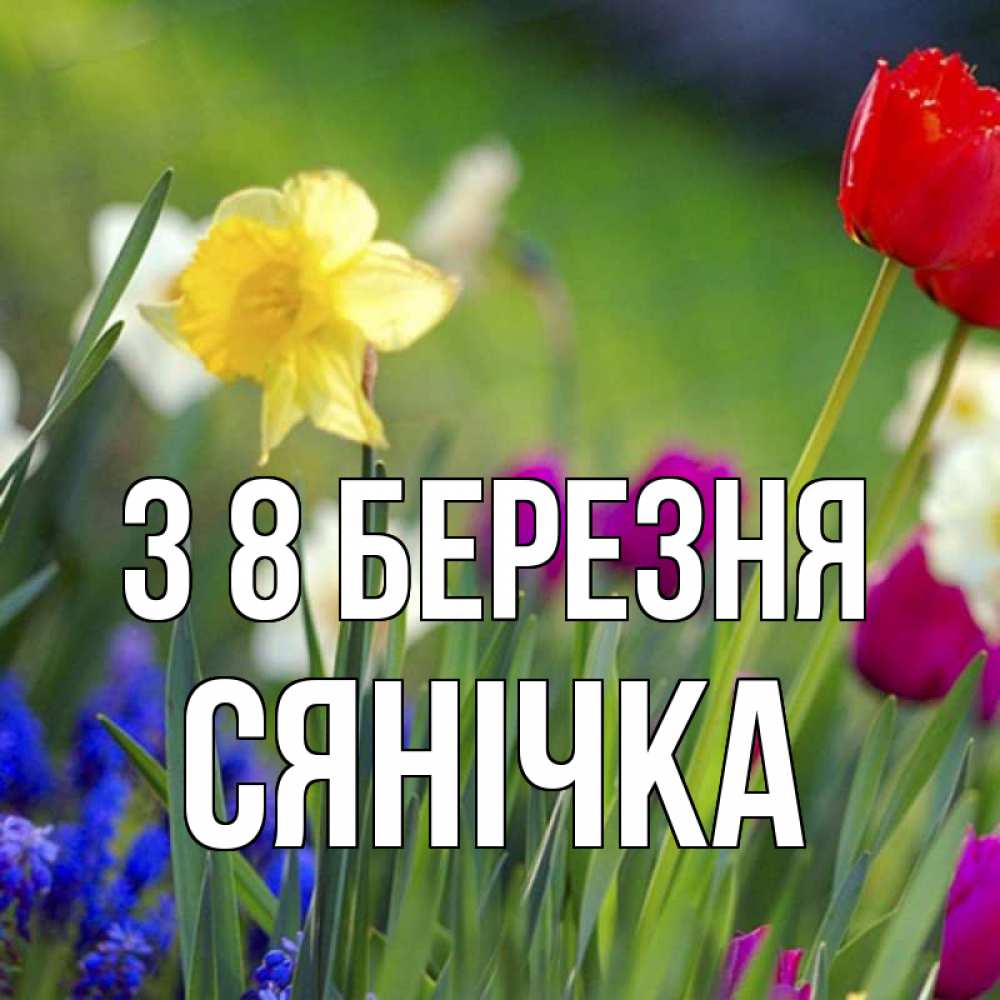 Открытка на каждый день з підписом, Сянічка З 8 БЕРЕЗНЯ международный женский день 3 Прикольна листівка з побажанням онлайн скачати безкоштовно 