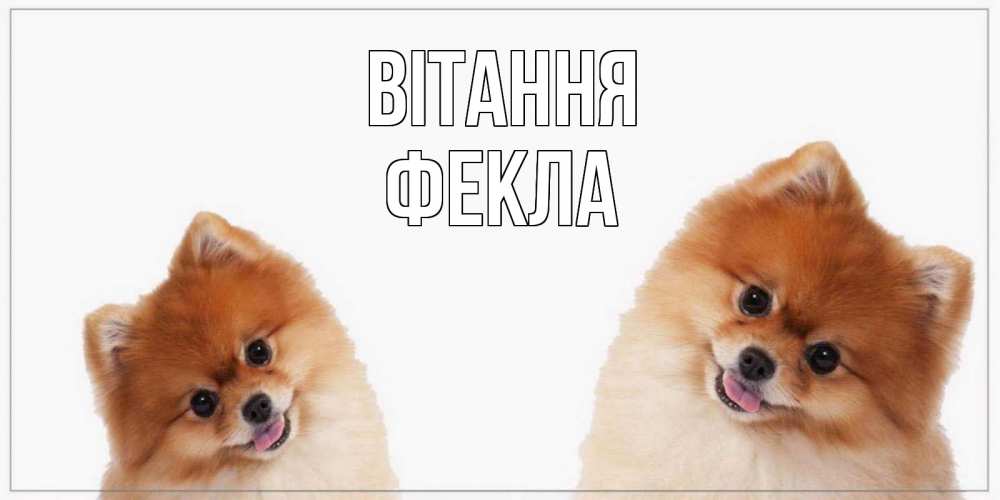 Открытка на каждый день з підписом, Фекла Вітання привет Прикольна листівка з побажанням онлайн скачати безкоштовно 
