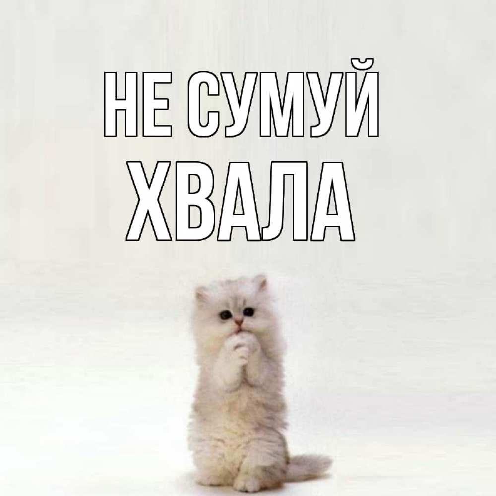 Открытка на каждый день з підписом, Хвала Не сумуй грустный кот Прикольна листівка з побажанням онлайн скачати безкоштовно 