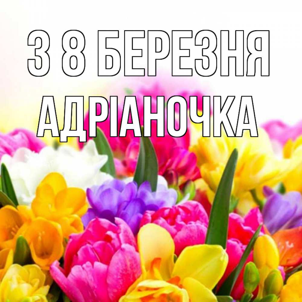 Открытка на каждый день з підписом, Адріаночка З 8 БЕРЕЗНЯ тюльпаны Прикольна листівка з побажанням онлайн скачати безкоштовно 