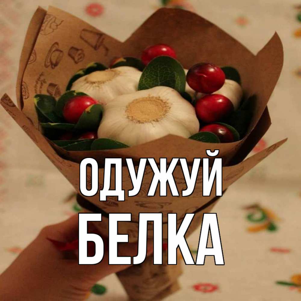 Открытка на каждый день з підписом, Белка Одужуй букет из фитонцидов и витамина c Прикольна листівка з побажанням онлайн скачати безкоштовно 