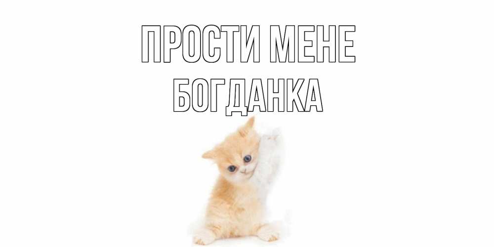 Открытка на каждый день з підписом, Богданка Прости мене кот Прикольна листівка з побажанням онлайн скачати безкоштовно 