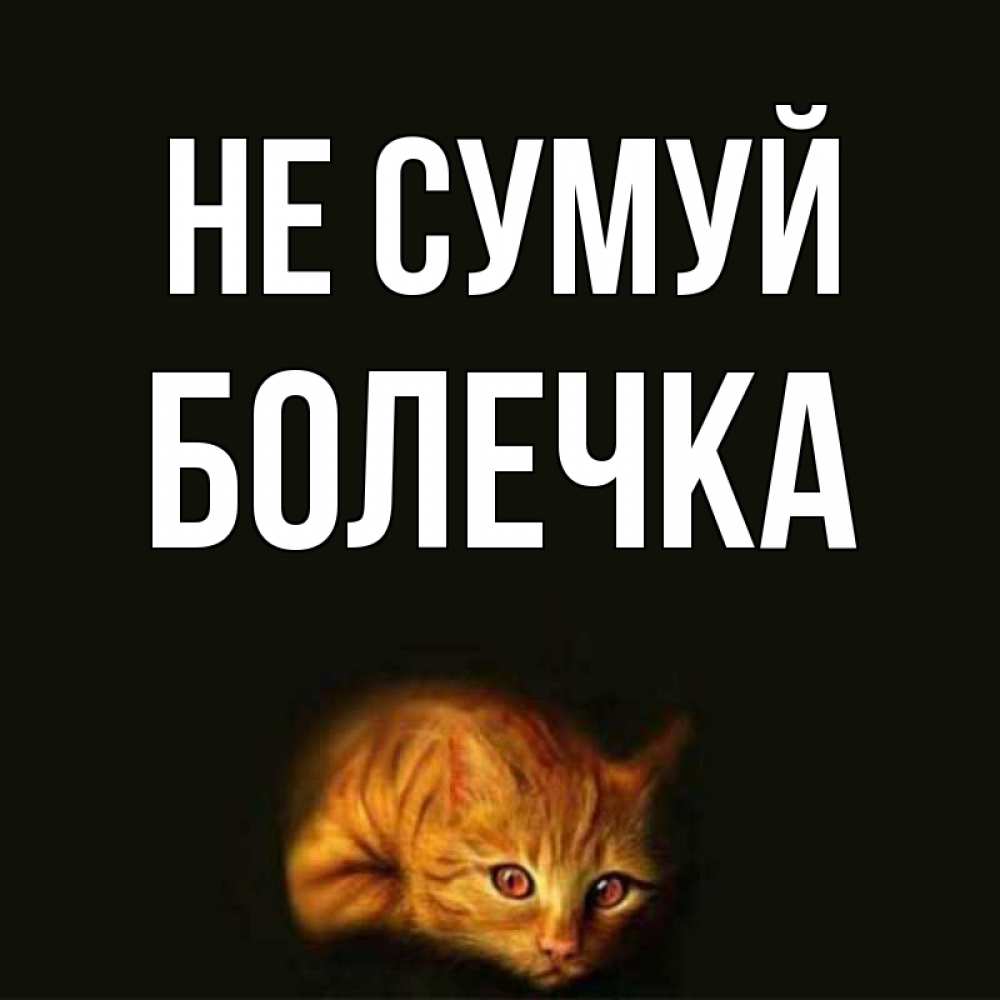 Открытка на каждый день з підписом, Болечка Не сумуй лежащий кот в темноте Прикольна листівка з побажанням онлайн скачати безкоштовно 