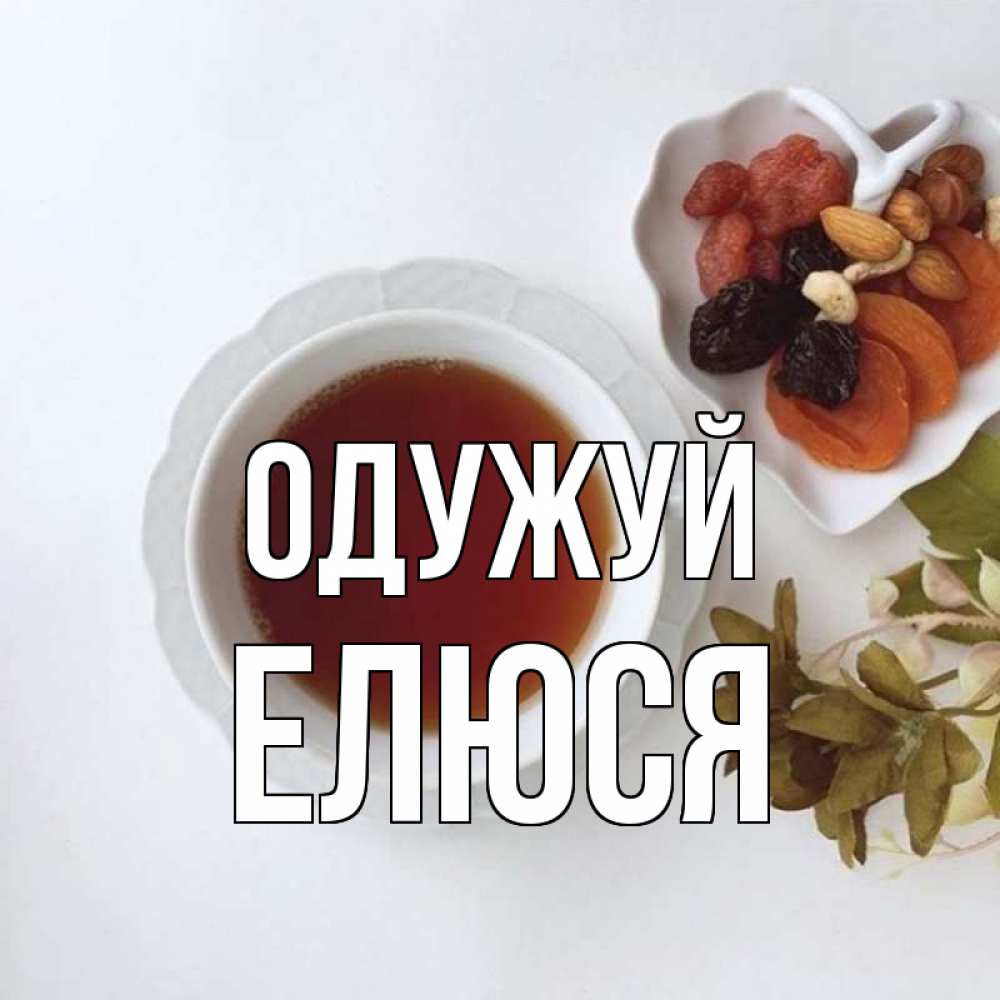 Открытка на каждый день з підписом, Елюся Одужуй неизвестные растения Прикольна листівка з побажанням онлайн скачати безкоштовно 