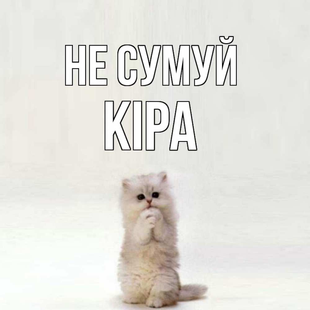 Открытка на каждый день з підписом, Кіра Не сумуй грустный кот Прикольна листівка з побажанням онлайн скачати безкоштовно 