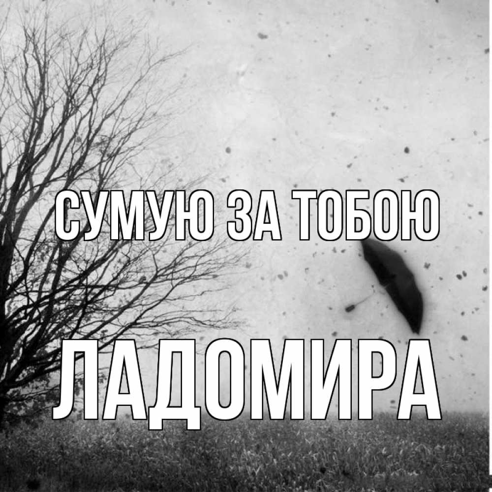 Открытка на каждый день з підписом, Ладомира Сумую за тобою зонт летит Прикольна листівка з побажанням онлайн скачати безкоштовно 