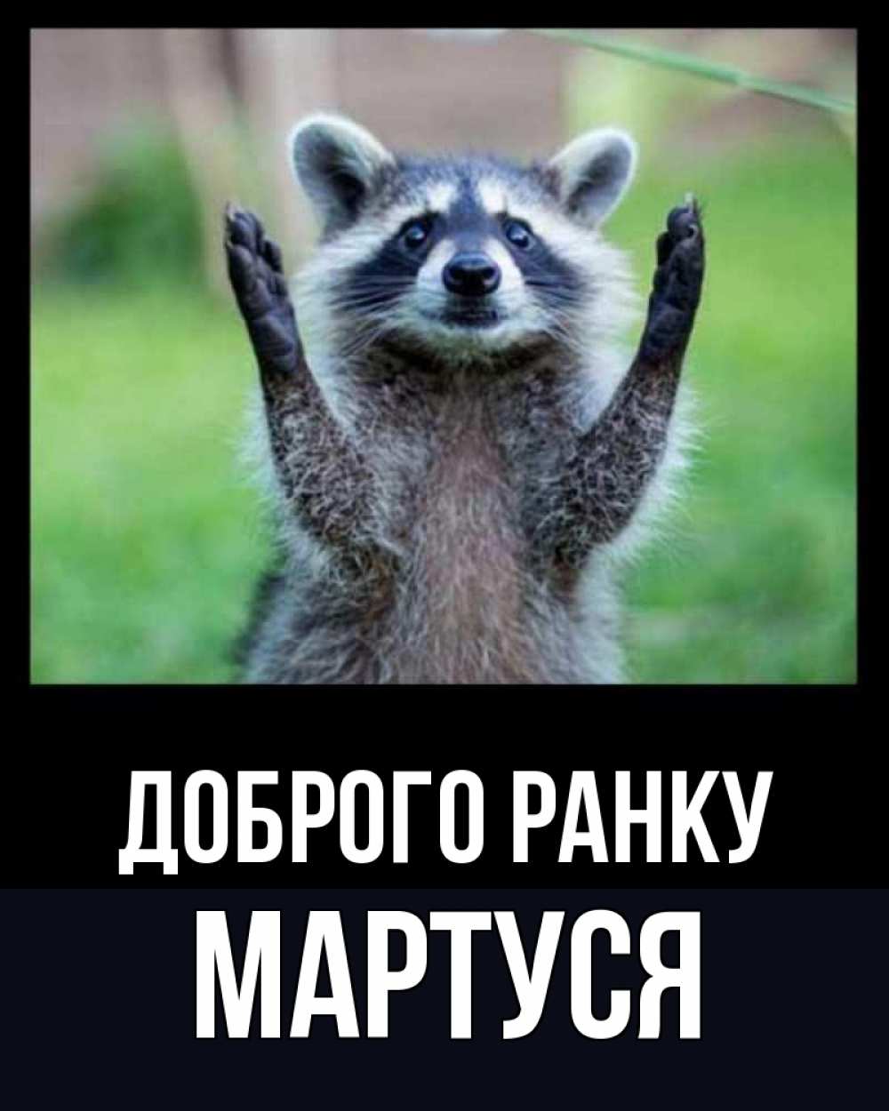 Открытка на каждый день з підписом, Мартуся Доброго ранку хорошее настроение утречком Прикольна листівка з побажанням онлайн скачати безкоштовно 