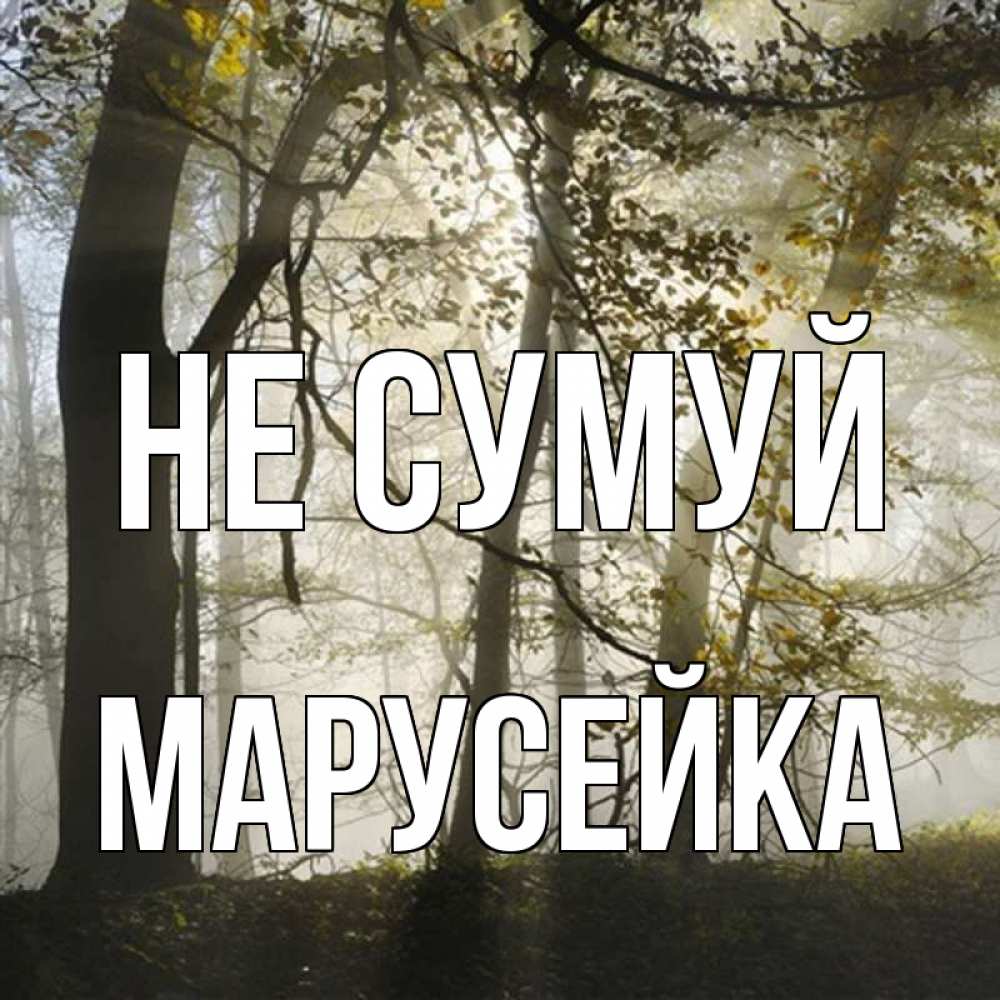 Открытка на каждый день з підписом, Марусейка Не сумуй лес и свет Прикольна листівка з побажанням онлайн скачати безкоштовно 