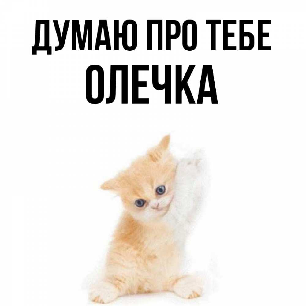 Открытка на каждый день з підписом, Олечка Думаю про тебе зверушки и милота Прикольна листівка з побажанням онлайн скачати безкоштовно 