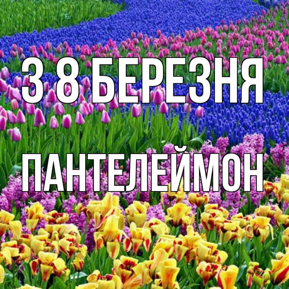 Открытка на каждый день з підписом, Пантелеймон З 8 БЕРЕЗНЯ цветы Прикольна листівка з побажанням онлайн скачати безкоштовно 