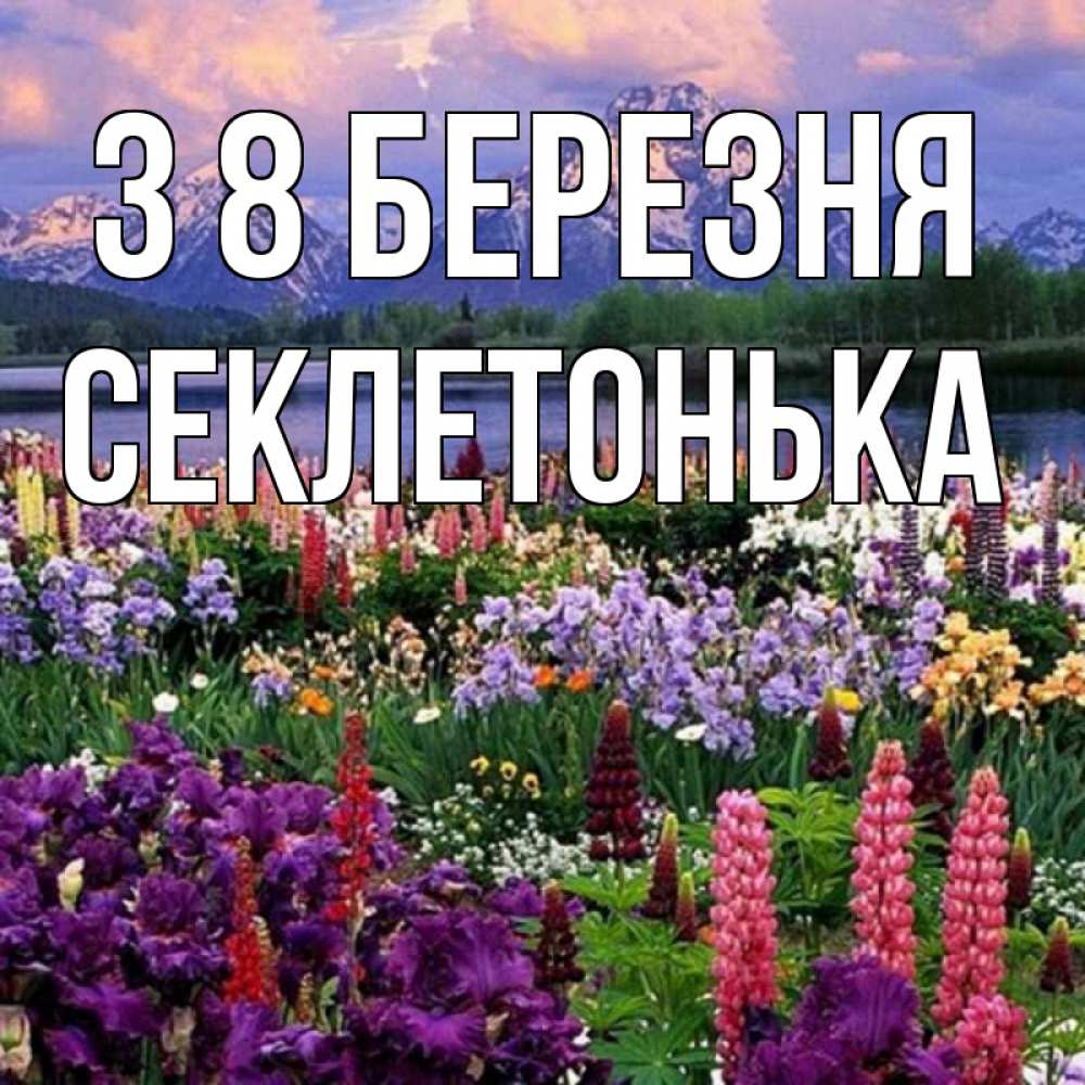 Открытка на каждый день з підписом, Секлетонька З 8 БЕРЕЗНЯ международный женский день Прикольна листівка з побажанням онлайн скачати безкоштовно 