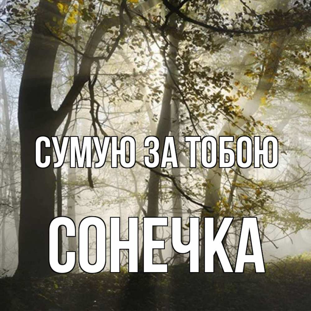 Открытка на каждый день з підписом, Сонечка Сумую за тобою грустно Прикольна листівка з побажанням онлайн скачати безкоштовно 