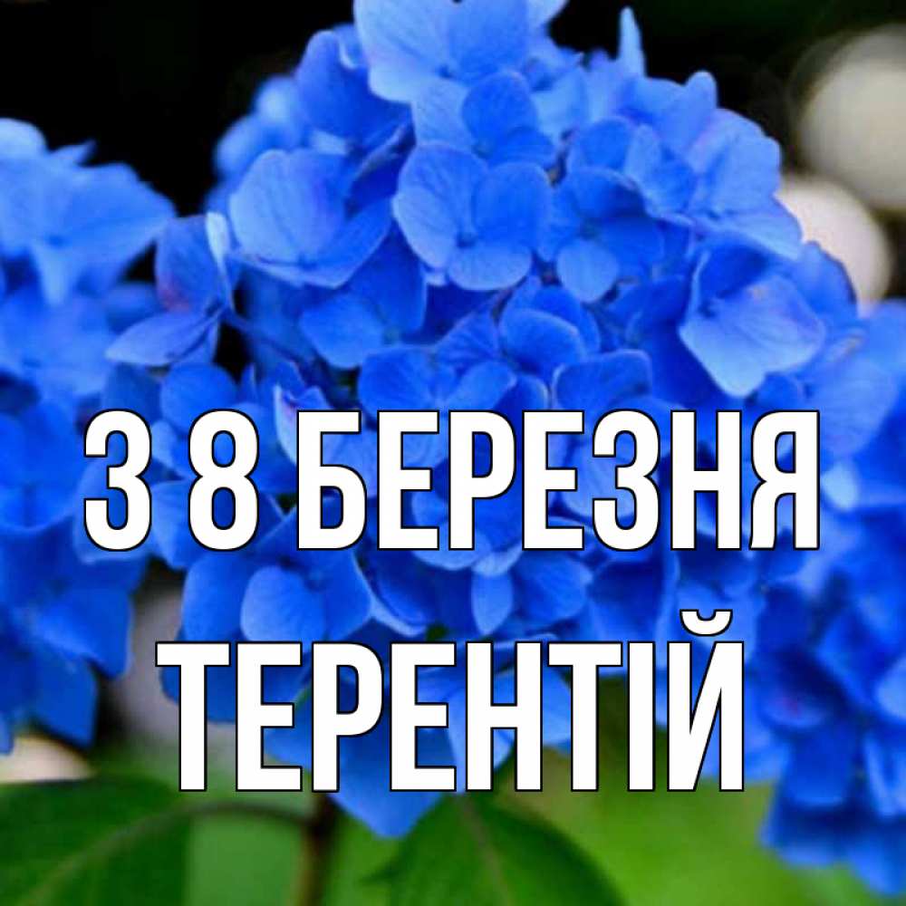 Открытка на каждый день з підписом, Терентій З 8 БЕРЕЗНЯ синие цветы Прикольна листівка з побажанням онлайн скачати безкоштовно 