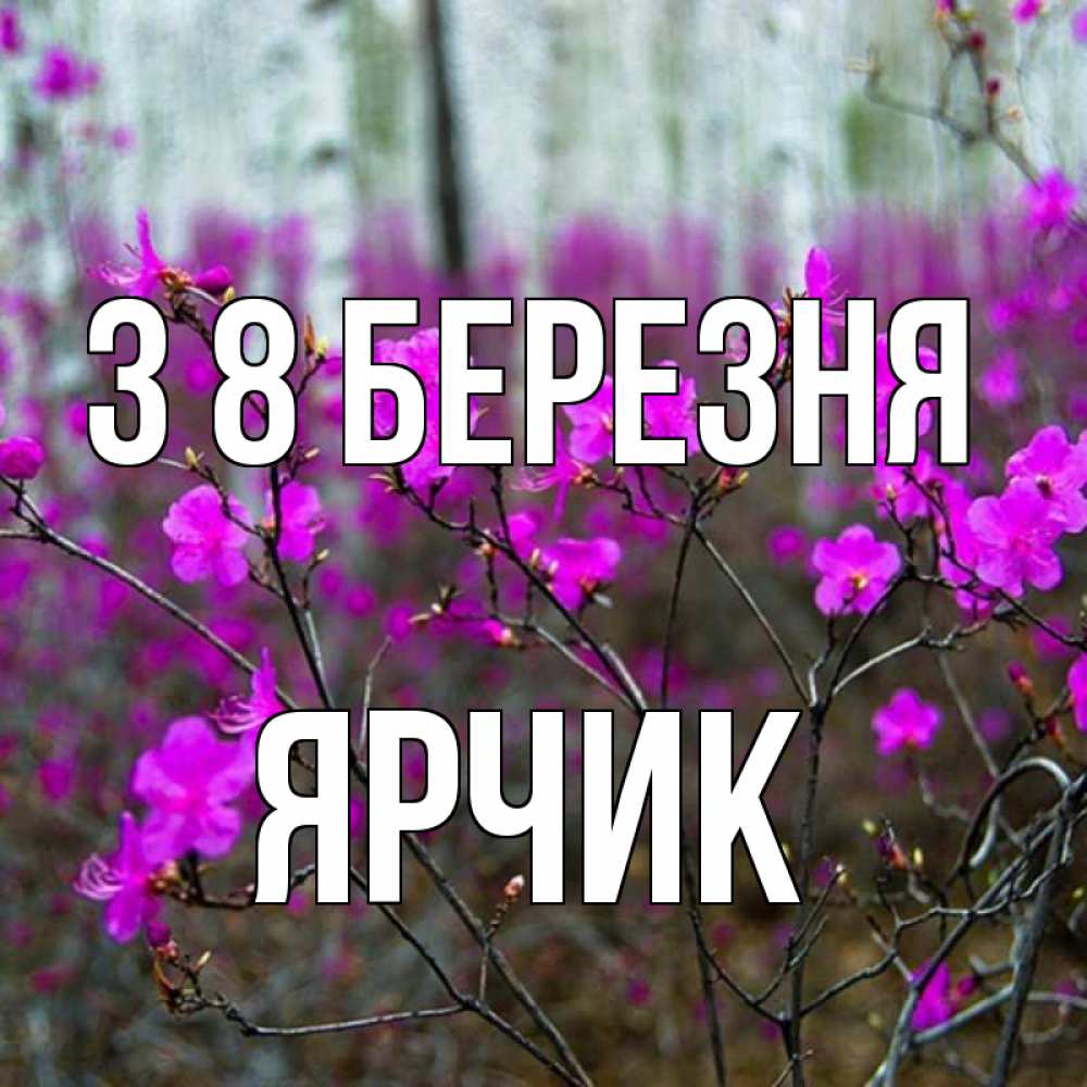 Открытка на каждый день з підписом, Ярчик З 8 БЕРЕЗНЯ дикие цветы Прикольна листівка з побажанням онлайн скачати безкоштовно 