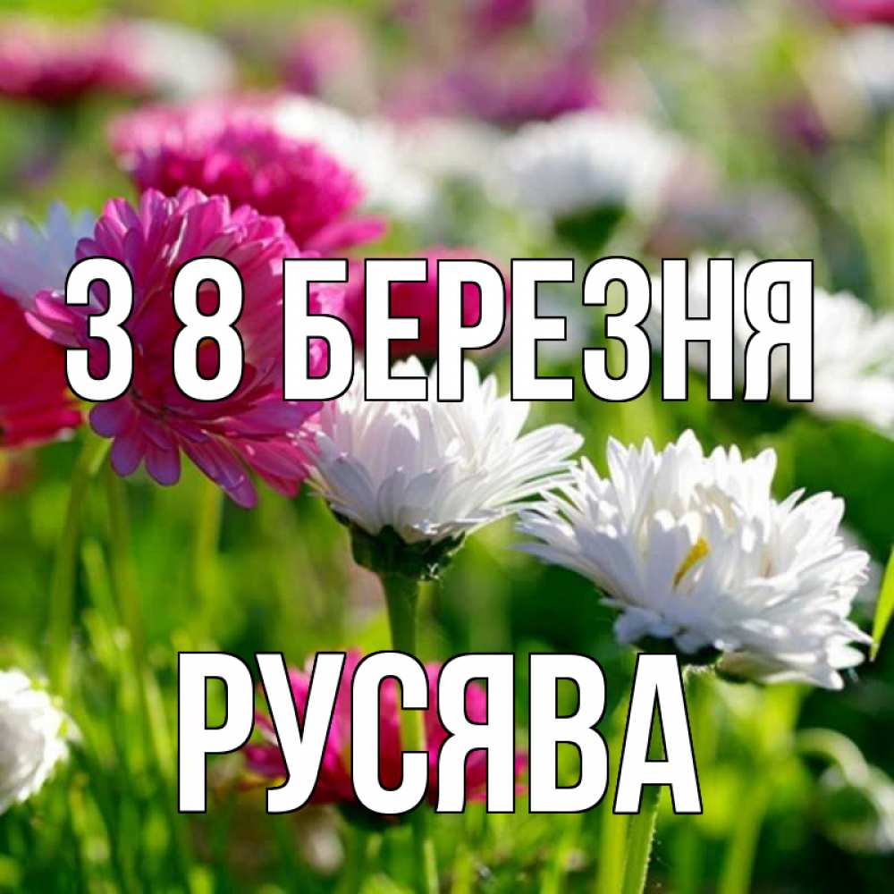 Открытка на каждый день з підписом, Русява З 8 БЕРЕЗНЯ международный женский день 1 Прикольна листівка з побажанням онлайн скачати безкоштовно 