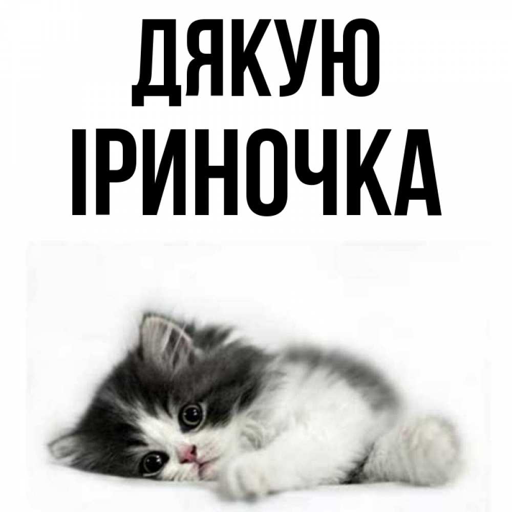 Открытка на каждый день з підписом, Іриночка Дякую черный и белый кот Прикольна листівка з побажанням онлайн скачати безкоштовно 