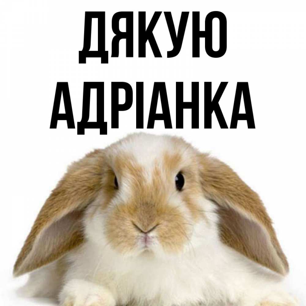 Открытка на каждый день з підписом, Адріанка Дякую коричнево белый заяц Прикольна листівка з побажанням онлайн скачати безкоштовно 