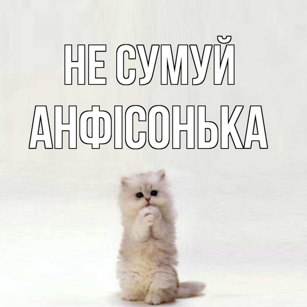 Открытка на каждый день з підписом, Анфісонька Не сумуй грустный кот Прикольна листівка з побажанням онлайн скачати безкоштовно 