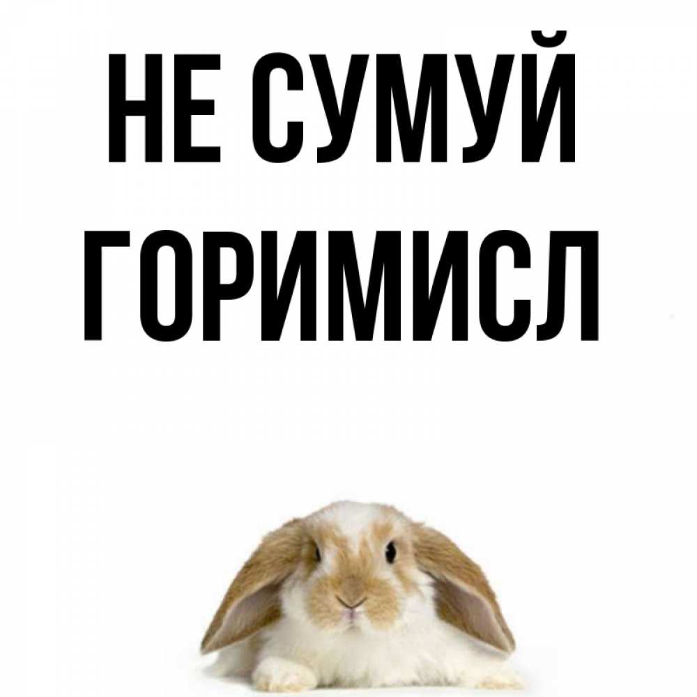 Открытка на каждый день з підписом, Горимисл Не сумуй коричнево белый заяц с большими ушками Прикольна листівка з побажанням онлайн скачати безкоштовно 