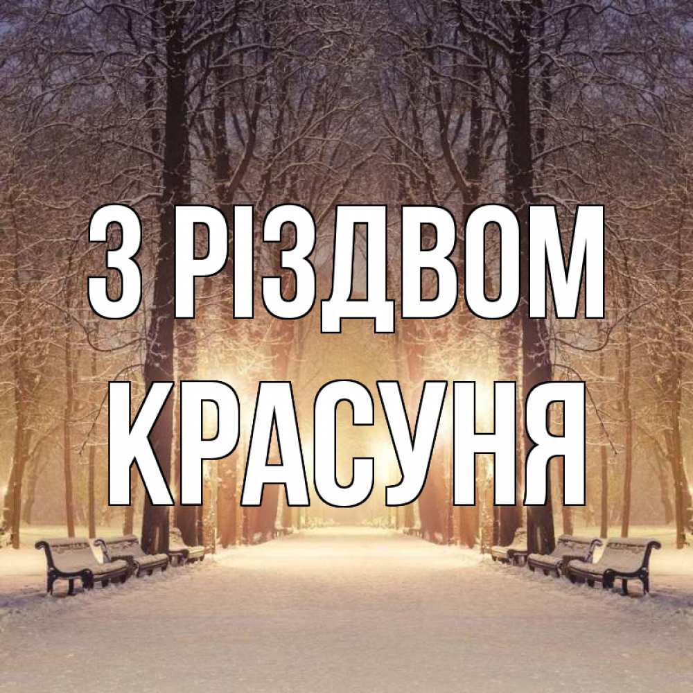 Открытка на каждый день з підписом, Красуня З Різдвом зима, парк, фонарь, лес Прикольна листівка з побажанням онлайн скачати безкоштовно 