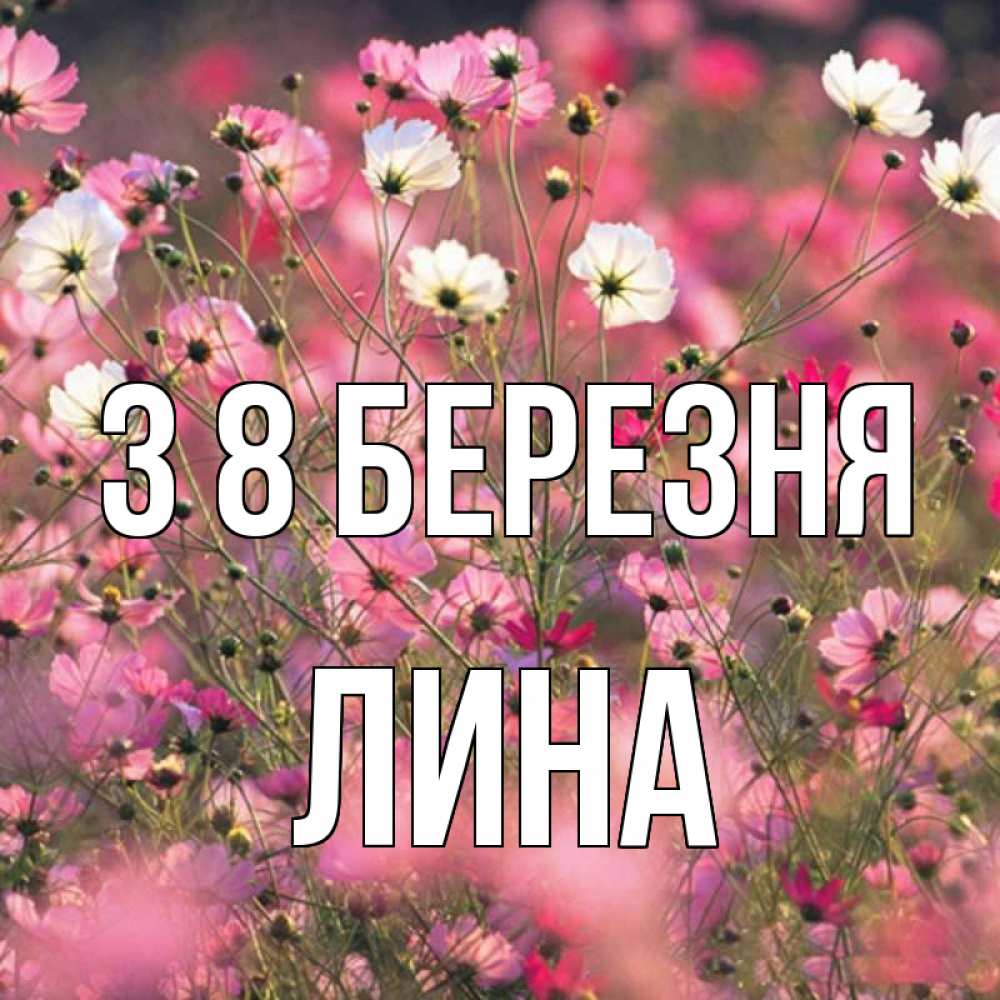 Открытка на каждый день з підписом, Лина З 8 БЕРЕЗНЯ красиво 1 Прикольна листівка з побажанням онлайн скачати безкоштовно 
