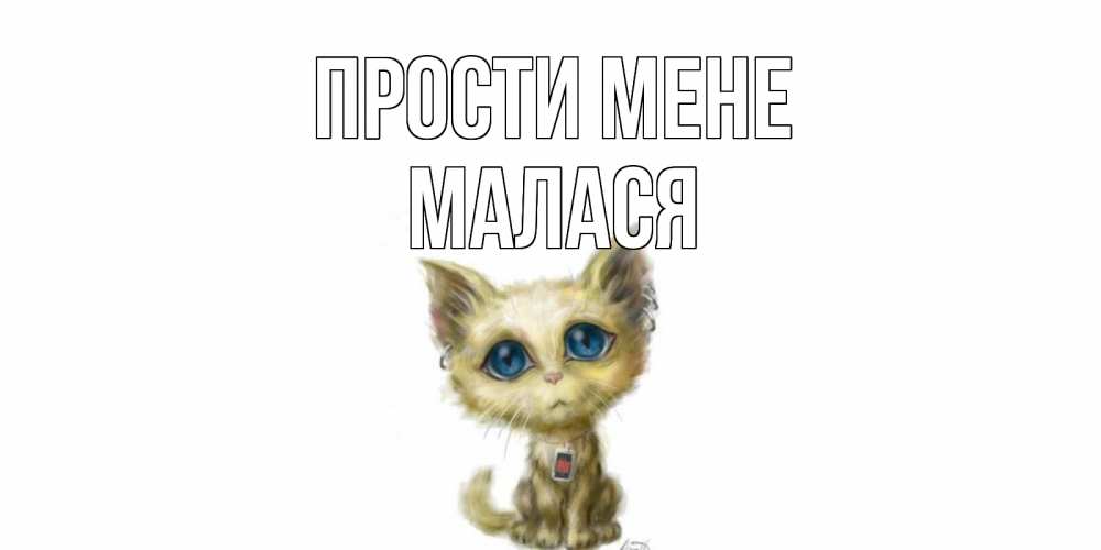 Открытка на каждый день з підписом, Малася Прости мене прости меня открытка с котиком Прикольна листівка з побажанням онлайн скачати безкоштовно 