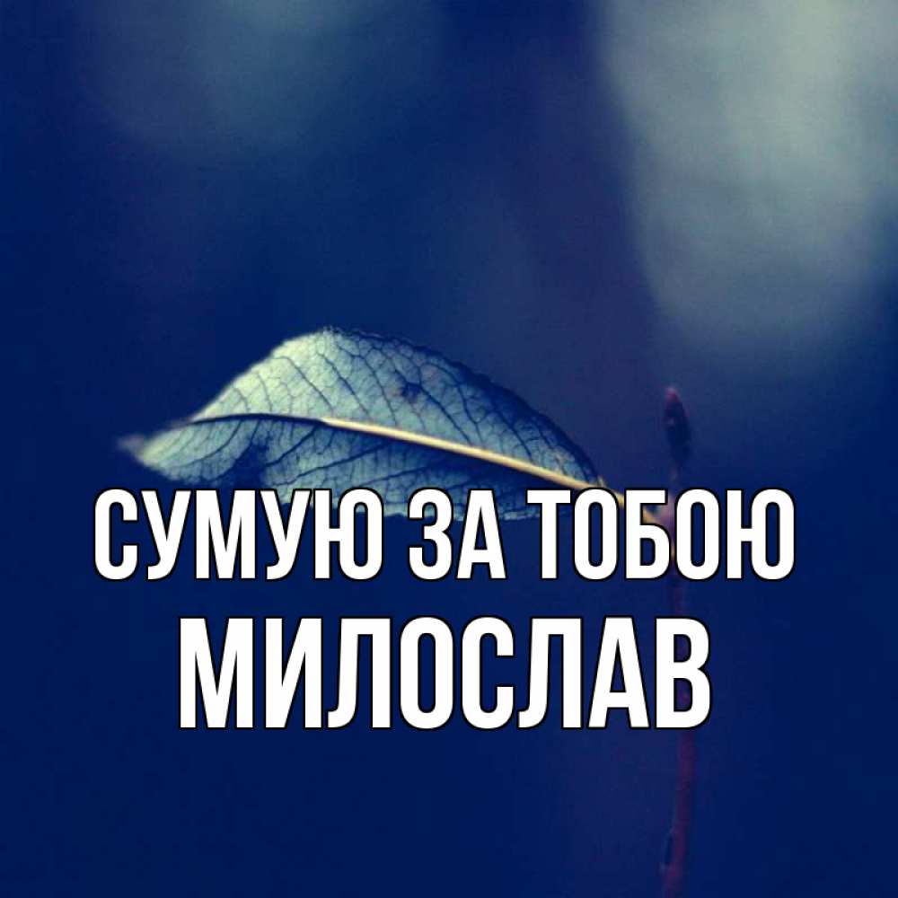 Открытка на каждый день з підписом, Милослав Сумую за тобою одна ветка 1 Прикольна листівка з побажанням онлайн скачати безкоштовно 