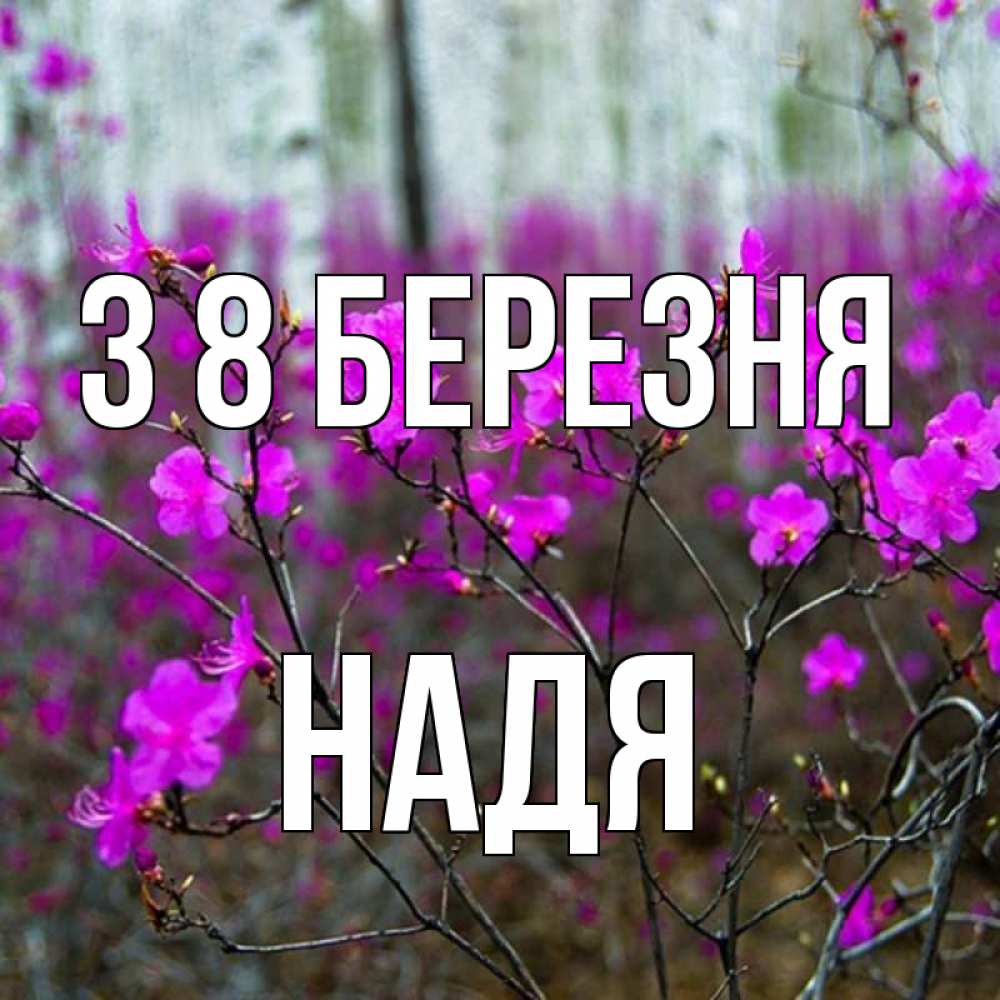 Открытка на каждый день з підписом, Надя З 8 БЕРЕЗНЯ дикие цветы Прикольна листівка з побажанням онлайн скачати безкоштовно 