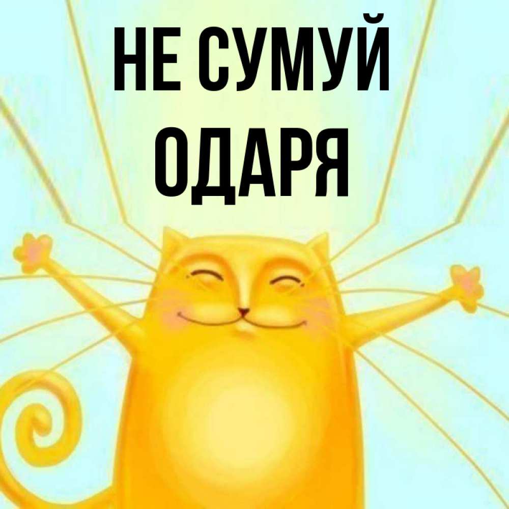 Открытка на каждый день з підписом, Одаря Не сумуй обнимашки усатые Прикольна листівка з побажанням онлайн скачати безкоштовно 