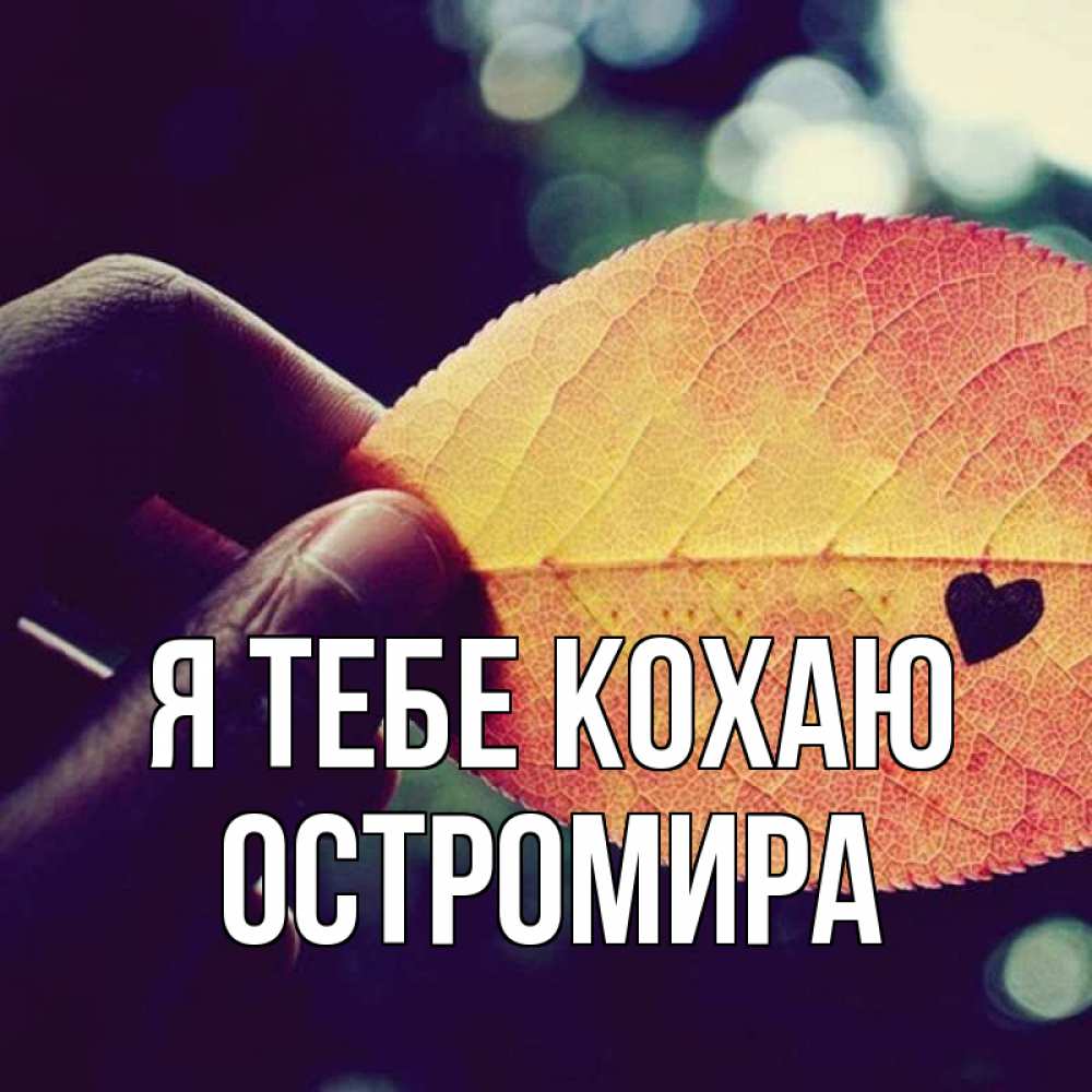 Открытка на каждый день з підписом, Остромира Я тебе кохаю держу лист Прикольна листівка з побажанням онлайн скачати безкоштовно 