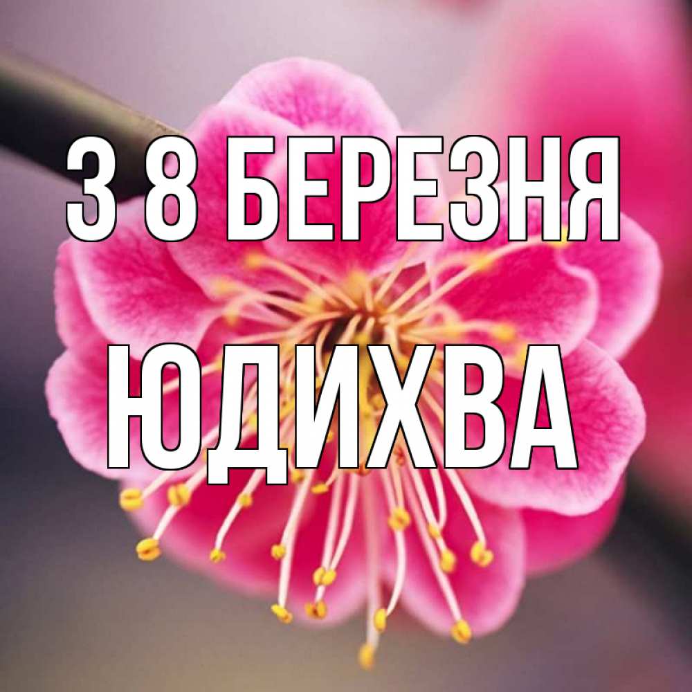 Открытка на каждый день з підписом, Юдихва З 8 БЕРЕЗНЯ цветы Прикольна листівка з побажанням онлайн скачати безкоштовно 