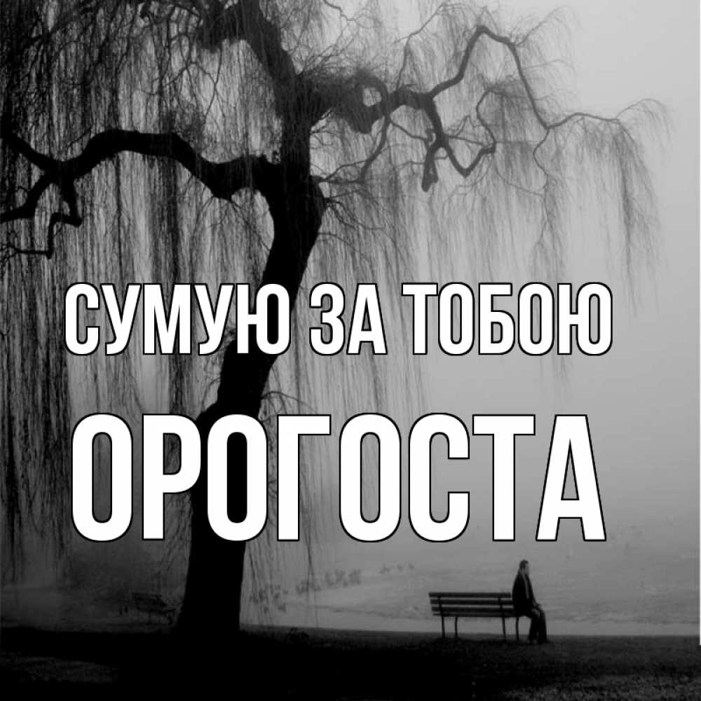 Открытка на каждый день з підписом, Орогоста Сумую за тобою лавочка под деревом я жду тебя Прикольна листівка з побажанням онлайн скачати безкоштовно 