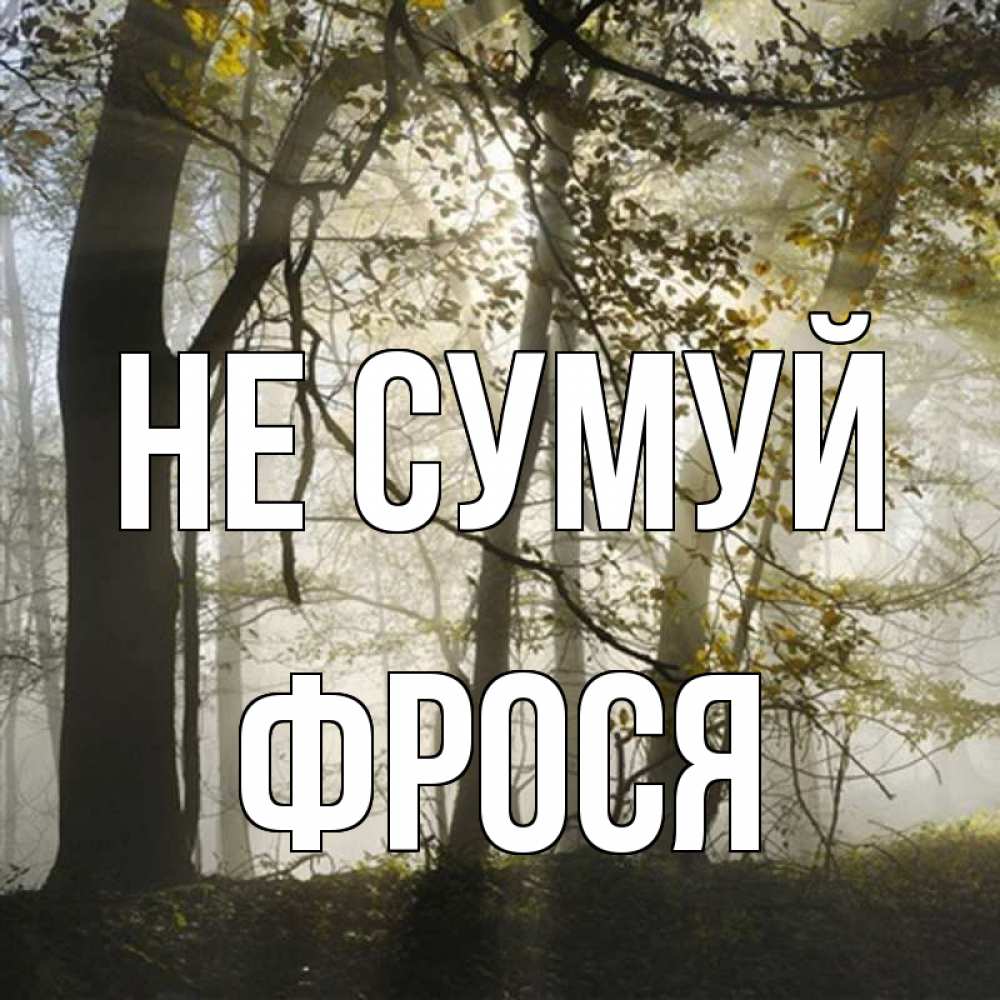 Открытка на каждый день з підписом, Фрося Не сумуй лес и свет Прикольна листівка з побажанням онлайн скачати безкоштовно 