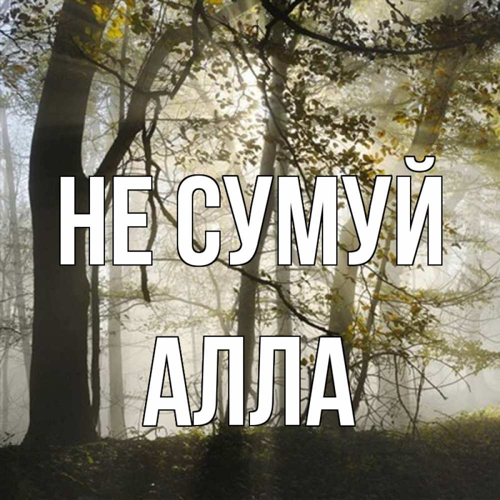 Открытка на каждый день з підписом, Алла Не сумуй лес и свет Прикольна листівка з побажанням онлайн скачати безкоштовно 