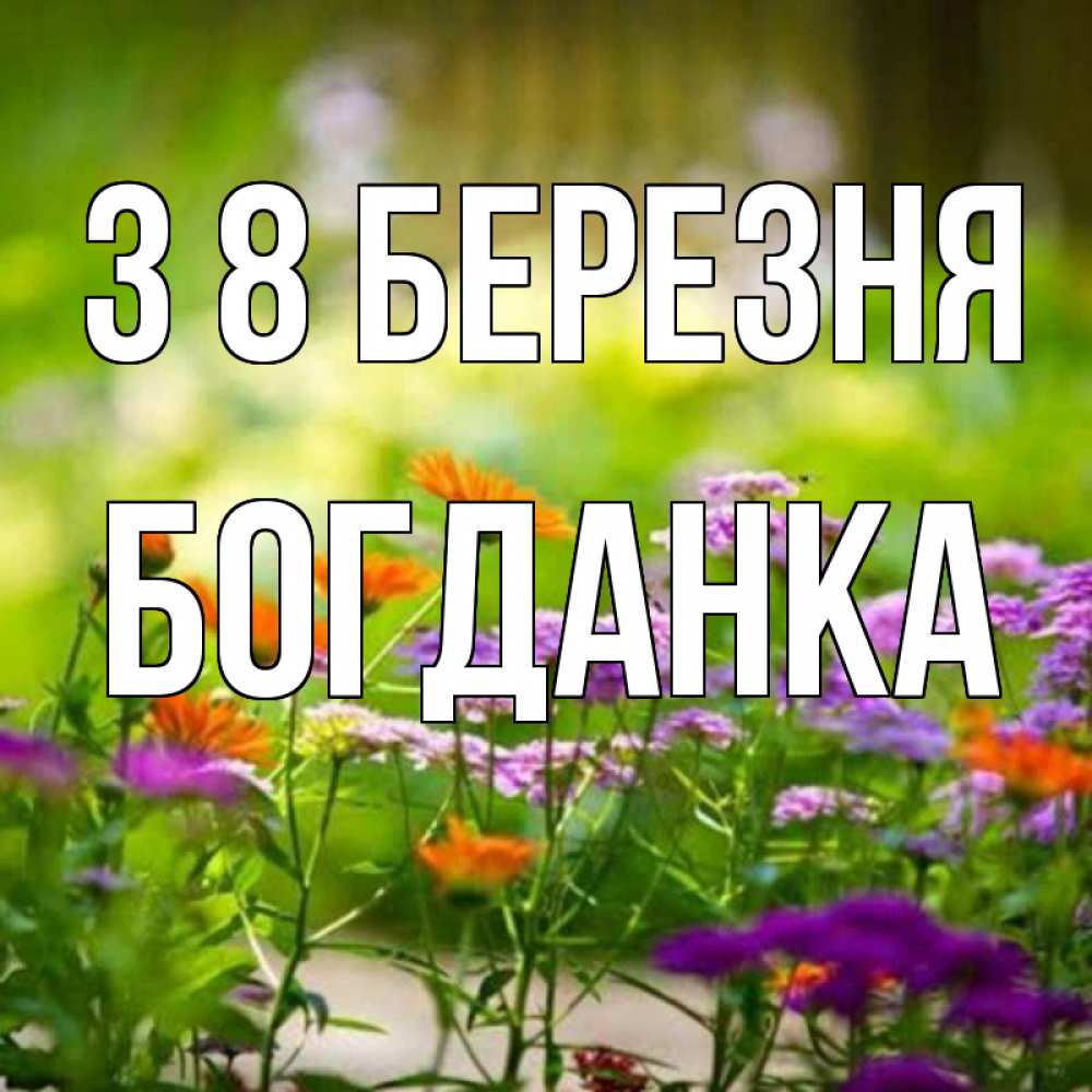 Открытка на каждый день з підписом, Богданка З 8 БЕРЕЗНЯ цветы Прикольна листівка з побажанням онлайн скачати безкоштовно 