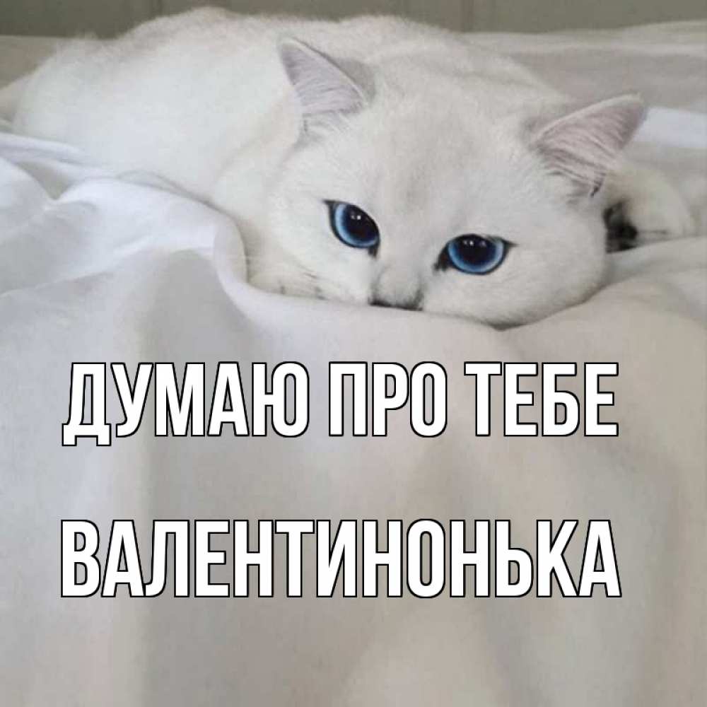 Открытка на каждый день з підписом, Валентинонька Думаю про тебе я очень по тебе скучаю и тоскую Прикольна листівка з побажанням онлайн скачати безкоштовно 