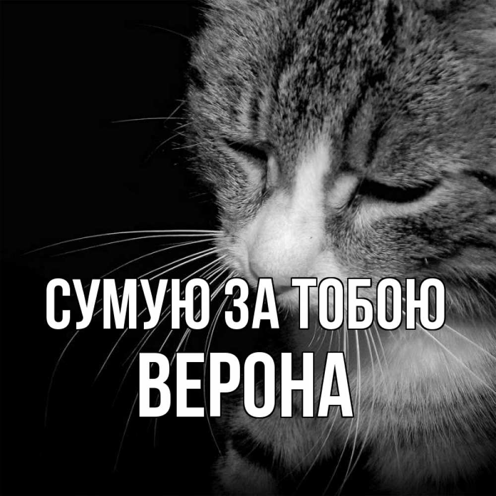 Открытка на каждый день з підписом, Верона Сумую за тобою мне скучно Прикольна листівка з побажанням онлайн скачати безкоштовно 