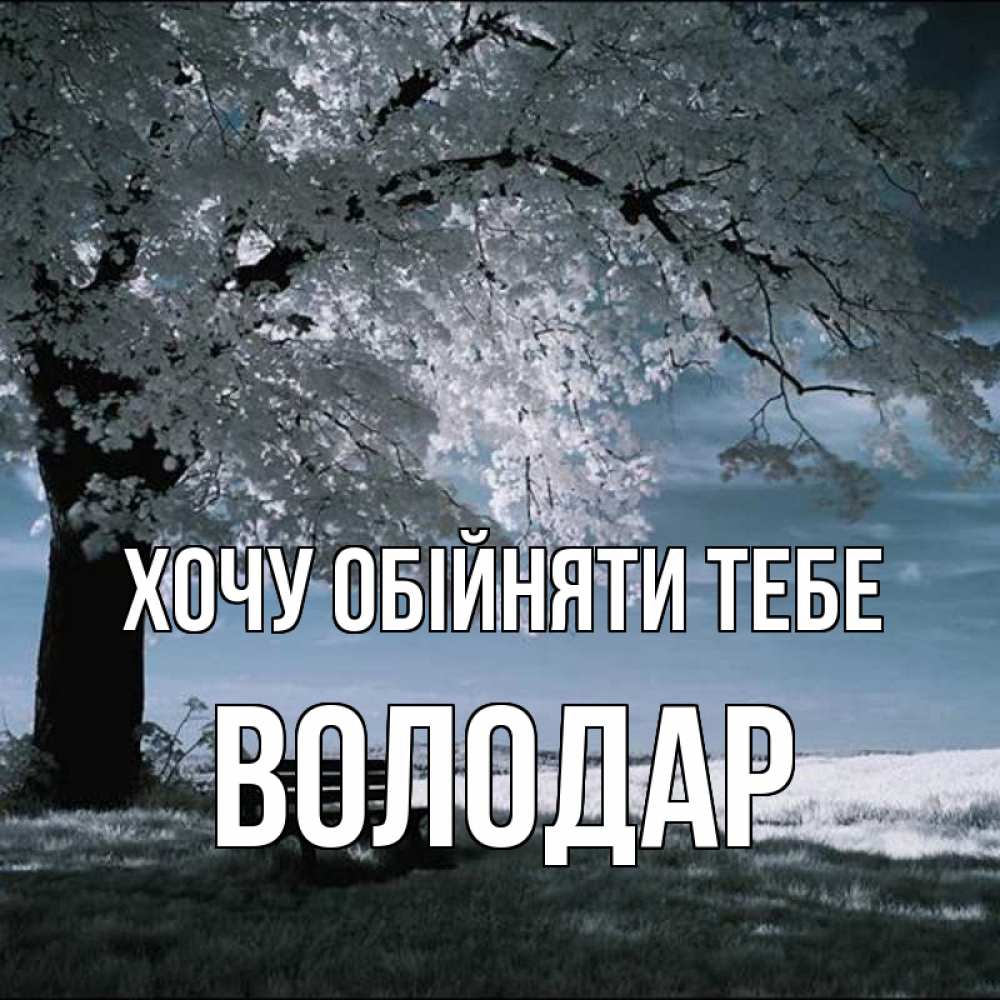Открытка на каждый день з підписом, Володар Хочу обійняти тебе дерево Прикольна листівка з побажанням онлайн скачати безкоштовно 