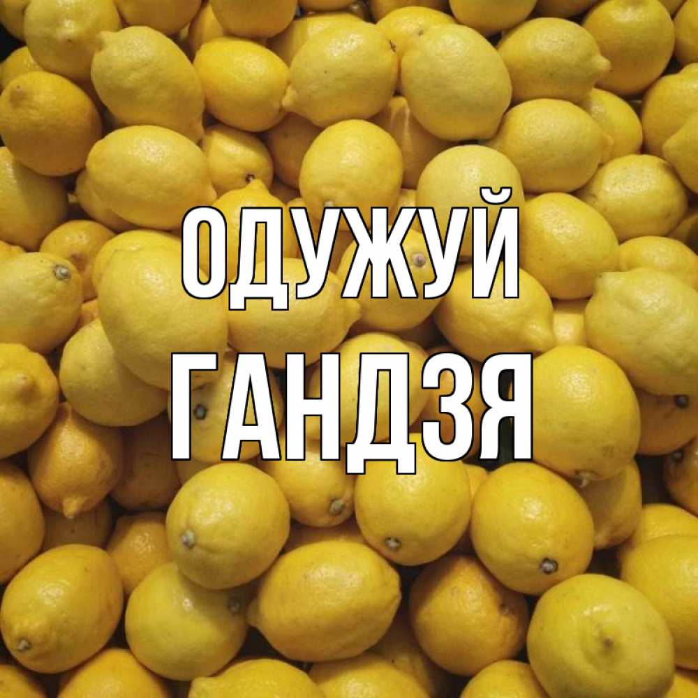 Открытка на каждый день з підписом, Гандзя Одужуй это точно поможет Прикольна листівка з побажанням онлайн скачати безкоштовно 